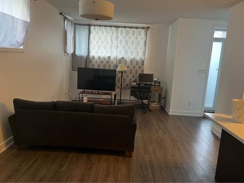 Appartement de 1 chambre à louer à Gatineau — photo 2