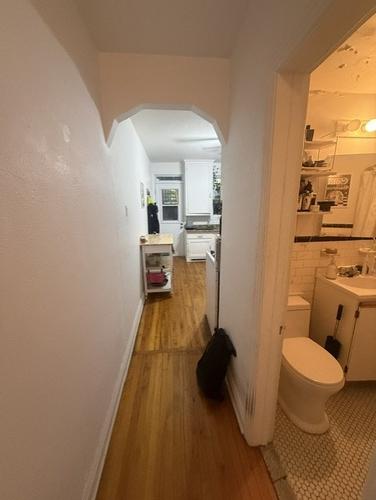 Appartement de 1 chambre à louer à Montreal - Le Plateau-Mont-Royal — photo 3