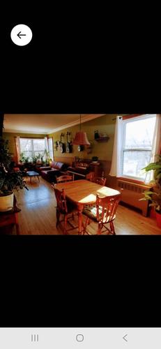 Appartement de 2 chambres à louer à Montreal - Rosemont–La Petite-Patrie — photo 3