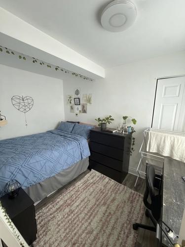 1 bedroom apartment for rent in Montreal - Le Plateau-Mont-Royal — photo 4