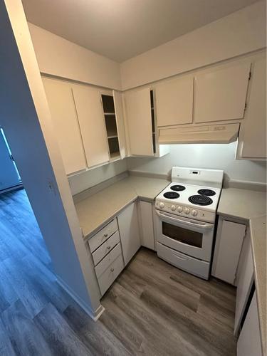 1 bedroom apartment for rent in Gatineau — photo 11