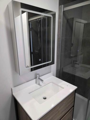 Appartement de 1 chambre à louer à Montreal - Rivière-des-Prairies–Pointe-aux-Trembles — photo 14
