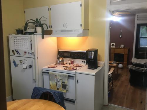 1 bedroom apartment for rent in Lévis — photo 5