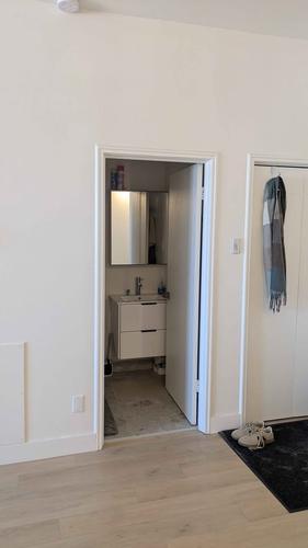 Appartement de 1 chambre à louer à Québec - La Cité-Limoilou — photo 6