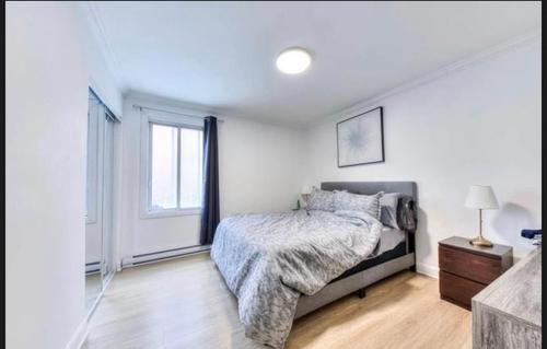 2 bedrooms apartment for rent in Laval — photo 7