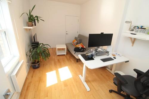 Appartement de 1 chambre à louer à Montreal - Le Plateau-Mont-Royal — photo 4