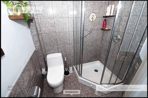 Appartement de 1 chambre à louer à Montreal - Le Plateau-Mont-Royal — photo 10