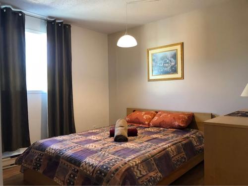 Appartement de 2 chambres à louer à Gatineau — photo 10