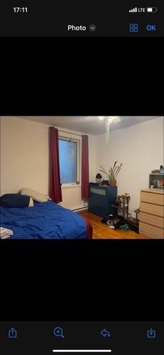 Appartement de 1 chambre à louer à Montreal - Le Plateau-Mont-Royal — photo 4
