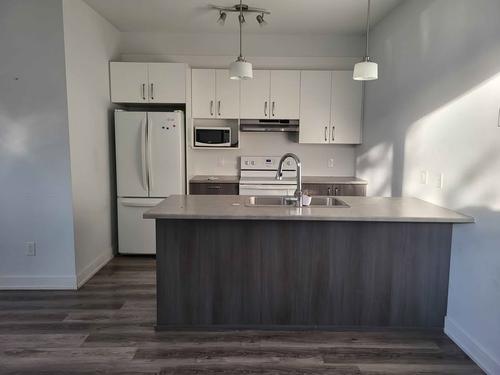 Appartement de 1 chambre à louer à Gatineau — photo 4