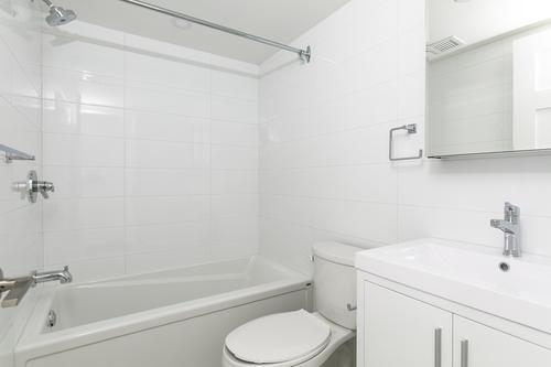 Appartement de 2 chambres à louer à Montreal - Le Plateau-Mont-Royal — photo 25