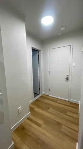 Studio for rent in Montreal - Ahuntsic-Cartierville — photo 2