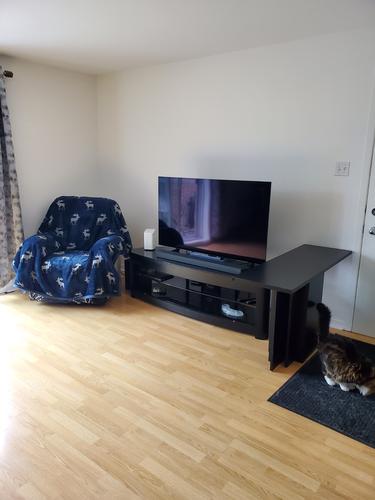 1 bedroom apartment for rent in Lévis — photo 6