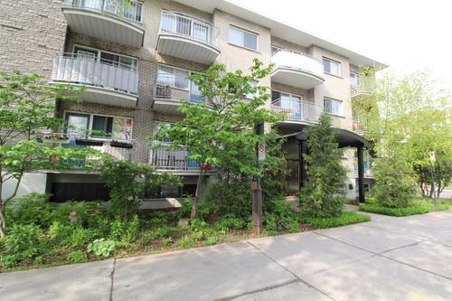 1 bedroom apartment for rent in Montreal - Le Plateau-Mont-Royal — photo 9