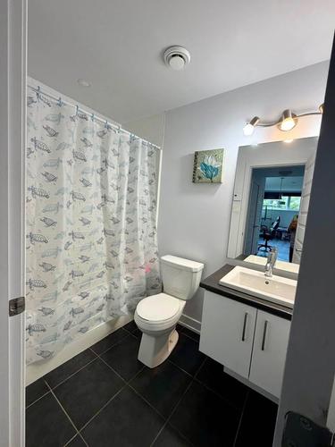 Appartement de 1 chambre à louer à Gatineau — photo 9