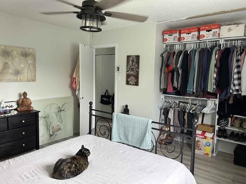 Appartement de 2 chambres à louer à Gatineau — photo 3