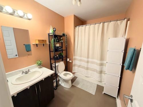 Appartement de 1 chambre à louer à Gatineau — photo 8