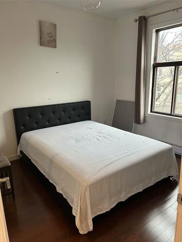 Appartement de 1 chambre à louer à Montreal - Rosemont–La Petite-Patrie — photo 8