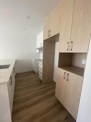 1 bedroom apartment for rent in Gatineau — photo 3