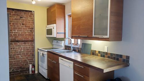 1 bedroom apartment for rent in Montreal - Le Plateau-Mont-Royal — photo 4