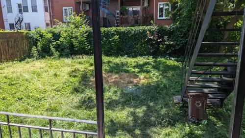 1 bedroom apartment for rent in Montreal - Le Plateau-Mont-Royal — photo 6