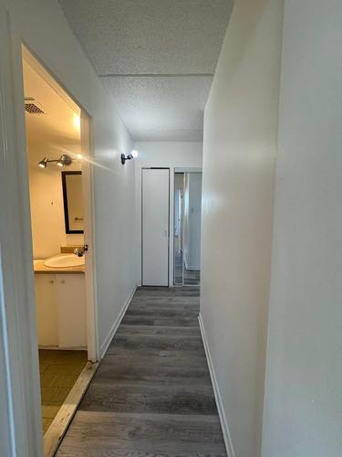 Appartement de 2 chambres à louer à Montreal - Rosemont–La Petite-Patrie — photo 2