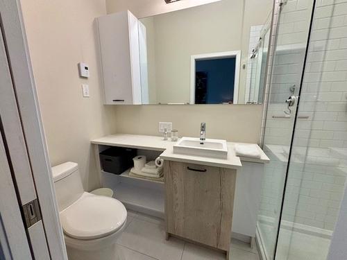 1 bedroom apartment for rent in Montreal - Le Plateau-Mont-Royal — photo 6
