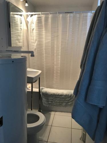 Studio for rent in Montreal - Mercier–Hochelaga-Maisonneuve — photo 6