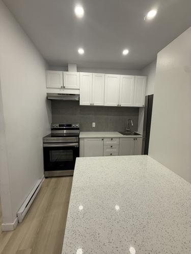 1 bedroom apartment for rent in Montreal - Rosemont–La Petite-Patrie — photo 3