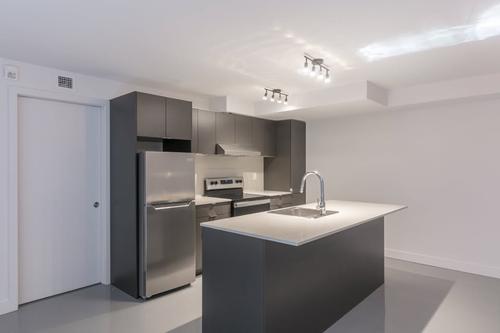 1 bedroom apartment for rent in Montreal - Le Plateau-Mont-Royal — photo 2
