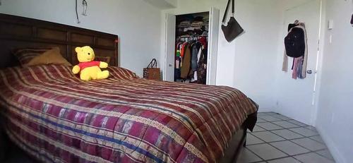 2 bedrooms apartment for rent in Québec - Sainte-Foy–Sillery–Cap-Rouge — photo 3