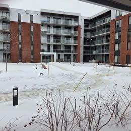 2 bedrooms apartment for rent in Québec - Sainte-Foy–Sillery–Cap-Rouge — photo 16
