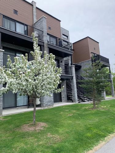 Appartement de 2 chambres à louer à Gatineau — photo 12