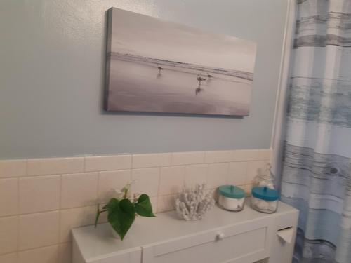 Appartement de 1 chambre à louer à Sherbrooke — photo 7
