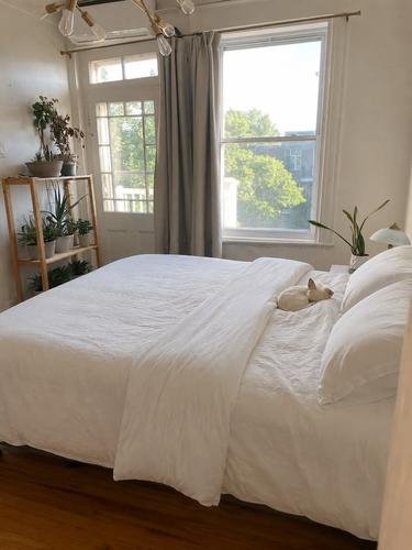 1 bedroom apartment for rent in Montreal - Rosemont–La Petite-Patrie — photo 2