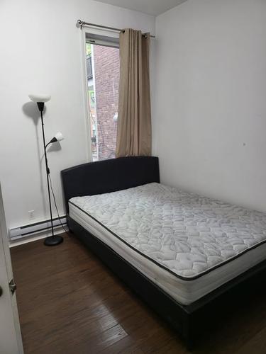 1 bedroom apartment for rent in Montreal - Rosemont–La Petite-Patrie — photo 3