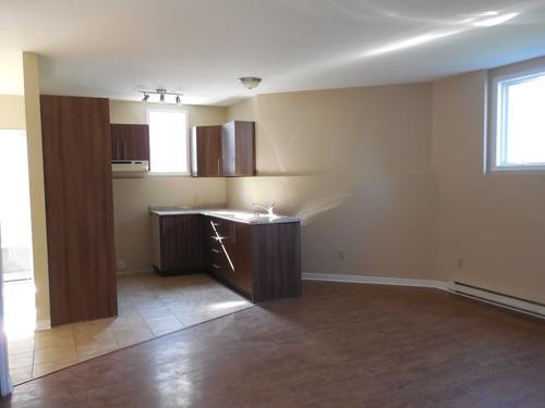 Appartement de 1 chambre à louer à Gatineau — photo 3