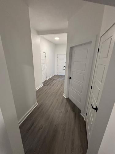 Appartement de 2 chambres à louer à Montreal - Le Plateau-Mont-Royal — photo 13