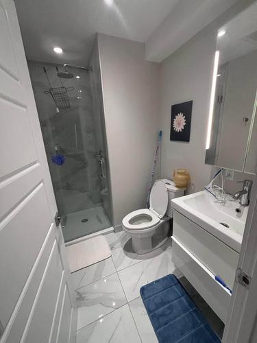 1 bedroom apartment for rent in Montreal - Ville-Marie — photo 3