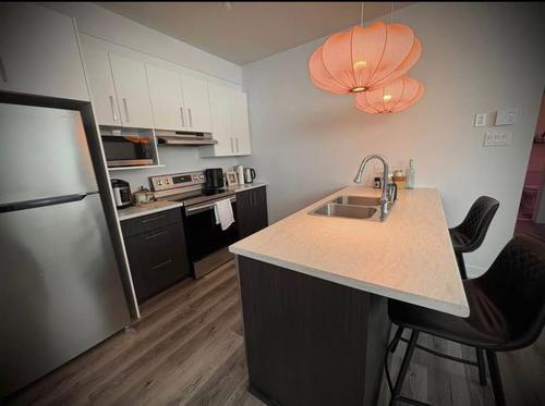 Appartement de 1 chambre à louer à Gatineau — photo 4