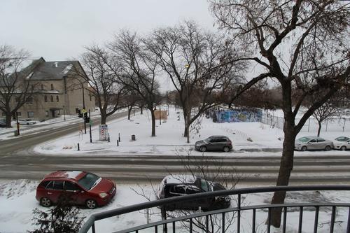 1 bedroom apartment for rent in Montreal - Le Plateau-Mont-Royal — photo 8