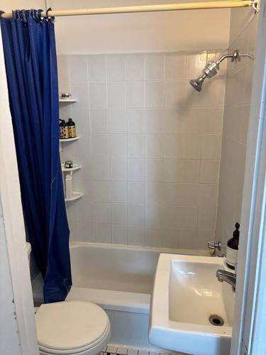 Appartement de 1 chambre à louer à Montreal - Le Plateau-Mont-Royal — photo 4