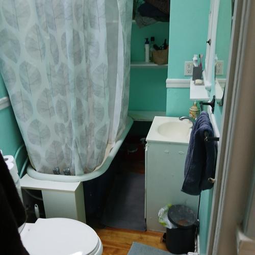 Appartement de 1 chambre à louer à Montreal - Rosemont–La Petite-Patrie — photo 4