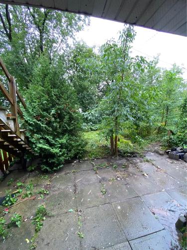Studio for rent in Québec - La Cité-Limoilou — photo 7