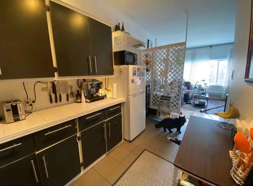 1 bedroom apartment for rent in Montreal - Le Plateau-Mont-Royal — photo 7