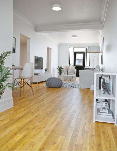1 bedroom apartment for rent in Montreal - Le Plateau-Mont-Royal — photo 4