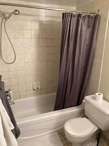 Studio for rent in Montreal - Le Plateau-Mont-Royal — photo 8