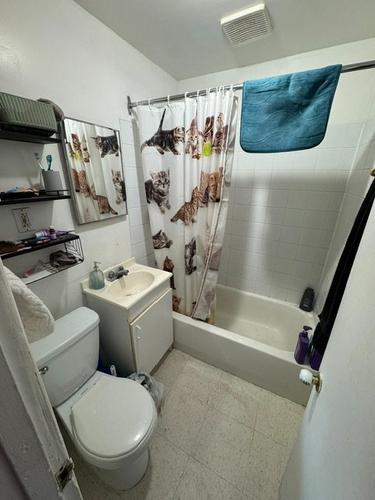 2 bedrooms apartment for rent in Montreal - Le Plateau-Mont-Royal — photo 6