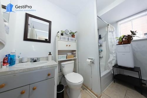 Studio à louer à Lévis — photo 5