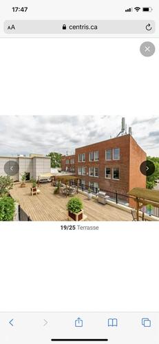 1 bedroom apartment for rent in Montreal - Ville-Marie — photo 14